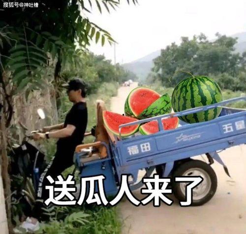 近期吃瓜醉酒,揭秘近期娱乐圈醉酒吃瓜事件