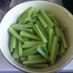 小杏仁吃瓜,小杏仁的瓜界探险记