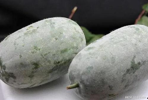 吃瓜一线粉,揭秘娱乐圈幕后故事