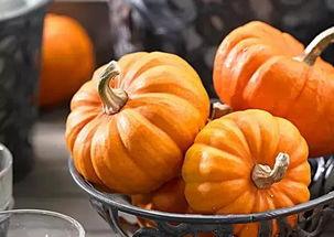 吃瓜南瓜被爆料