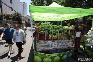 城市里吃瓜群众,揭秘都市生活百态