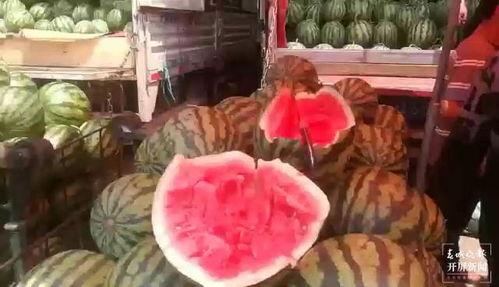 城市里吃瓜群众,揭秘都市生活百态