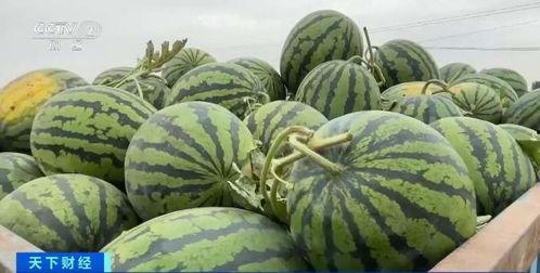 网友今年吃瓜,2023年度网友吃瓜大事件盘点