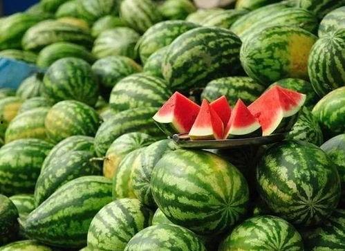 瓜吃泥嘛,探寻美食与生活的和谐共鸣