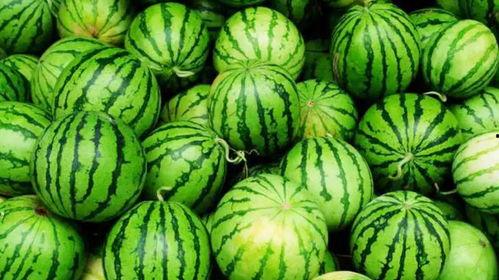 新兴职业学吃瓜,新时代的美食潮流与职业新方向