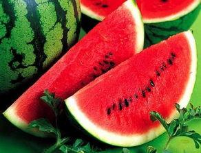 新兴职业学吃瓜,新时代的美食潮流与职业新方向