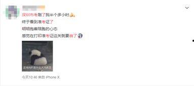 吃瓜系统崩溃,揭秘网络狂欢背后的真相