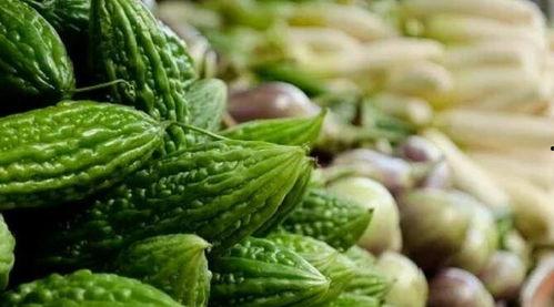 绿瓜吃金坷拉,金坷拉下的神奇之旅