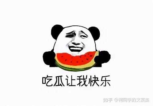吃瓜群众饭后文案,揭秘娱乐圈那些不为人知的幕后故事