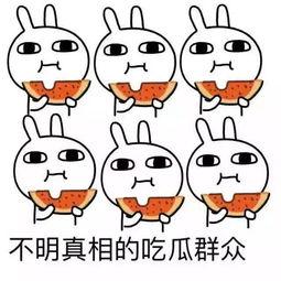 吃瓜群众太难了