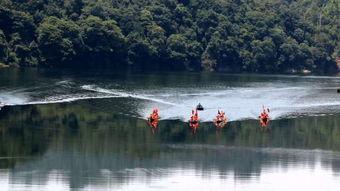 舟夜吃瓜,揭秘神秘事件背后的真相
