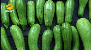 吃瓜中毒吃什么