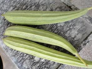 吃瓜器教程,夏日消暑必备技能