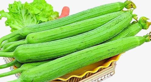 吃瓜每日推荐,吃瓜每日推荐带你尝遍人间美味