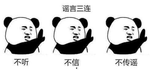 带你吃瓜节奏大队,带你领略“吃瓜节奏大队”的独特魅力