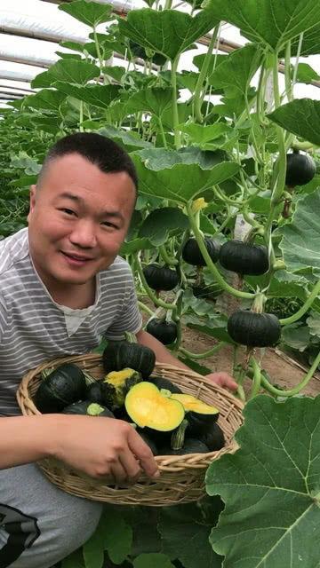 吃瓜小南后续,揭秘娱乐圈背后的故事与真相