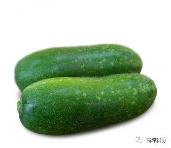 常吃土瓜好吗,健康养生新选择