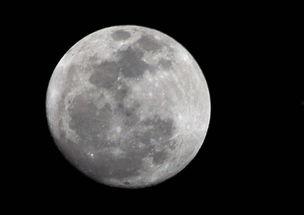 月亮组吃瓜在哪吃,揭秘神秘聚餐地点