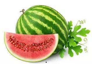 吃小瓜会胖吗,吃小瓜真的会让人发胖吗？揭秘瓜类食物的真相