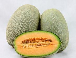 结扎手术后可以吃哈密瓜,哈密瓜的适宜与禁忌