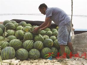 商家吃瓜,一场商业圈的狂欢盛宴