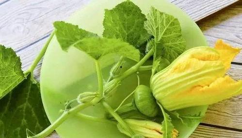 烫伤可以吃嫩瓜,嫩瓜助力健康饮食新选择