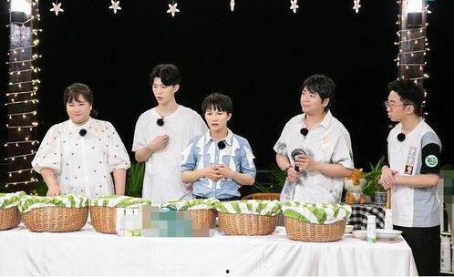 周深吃瓜群众,瓜田里的“吃瓜群众”