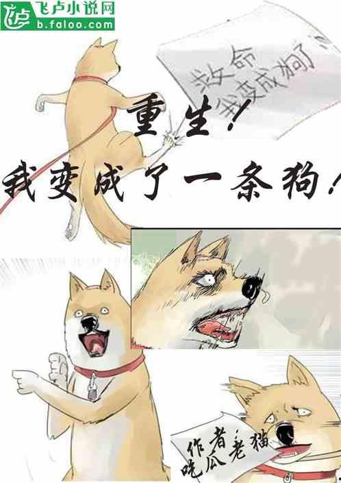 小说小熊吃瓜,一场甜蜜的冒险之旅