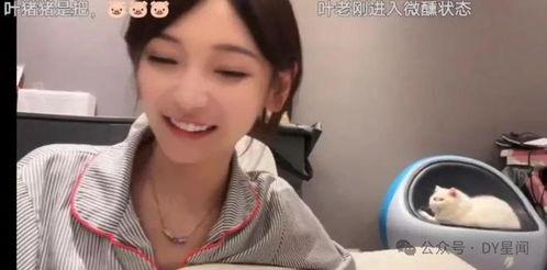 dy吃瓜直播明星