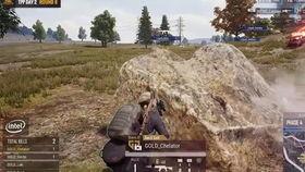 吃瓜杂技,揭秘娱乐圈幕后风云