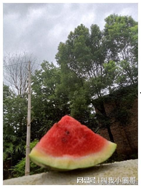 俺哥吃瓜不,一场网络热点的狂欢盛宴