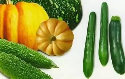 大家都怎么吃瓜的,揭秘现代社交圈中的“瓜文化”现象