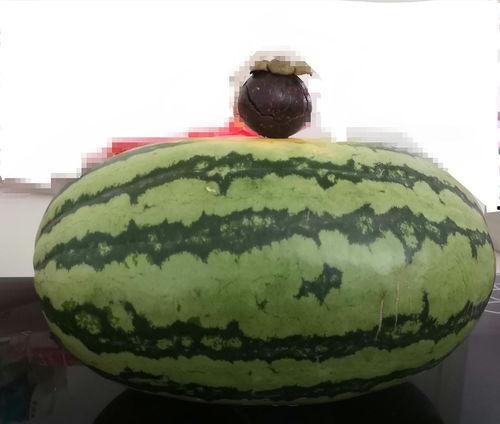 大家都怎么吃瓜的,揭秘现代社交圈中的“瓜文化”现象