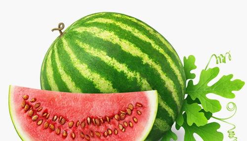 es吃谷人瓜,揭秘古代民间传说背后的神秘故事