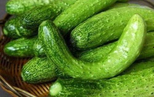 看瓜吃瓜吃黄瓜的故事,看瓜吃瓜吃黄瓜的趣味故事