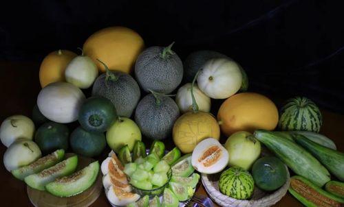 吃瓜南北,揭秘南北饮食差异背后的文化密码