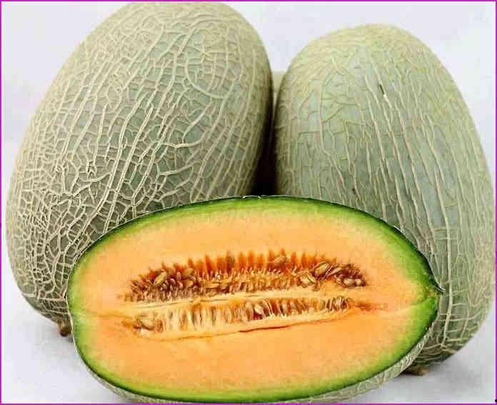 你吃哈密瓜了吗,哈密瓜品尝记