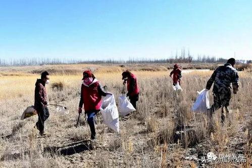 发扬吃瓜精神,揭秘网络时代的“吃瓜精神”