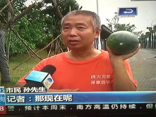 热点事件吃瓜,吃瓜群众如何看真相？