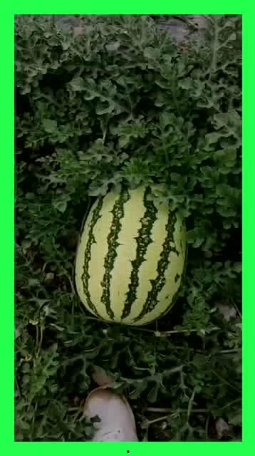 网上吃瓜的好地方,揭秘热门话题聚集地