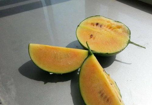 小人吃彩虹瓜,小人奇遇记