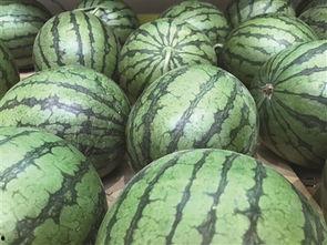 烂瓜头怎么吃,烂瓜头的创意食用指南