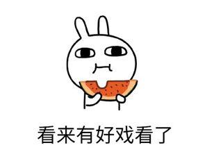 吃瓜专注,吃瓜群众视角下的娱乐圈风云录