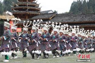 水族吃瓜,水族世界里的“吃瓜群众”趣闻录