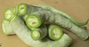 小精怪吃蛇瓜,小精怪与神秘蛇瓜的奇幻邂逅