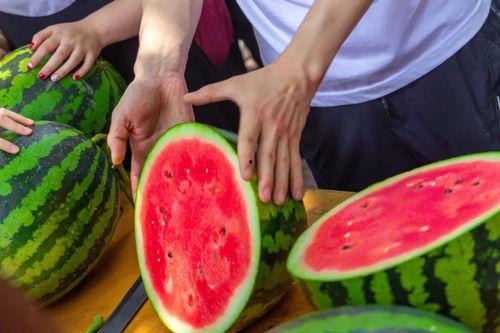 吃瓜上海学校,那些年我们一起“吃瓜”的学校风云