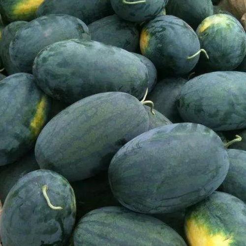 新必应吃瓜,揭秘科技巨头背后的秘密与争议