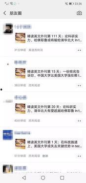 吃瓜票是什么,网络热议现象背后的文化现象解析