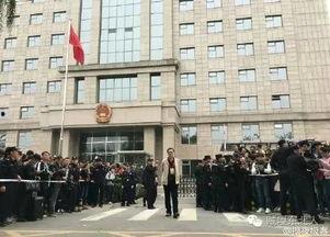 律师吃瓜现场,揭秘法律圈幕后风云